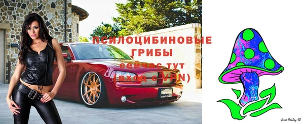 кокс Новодвинск