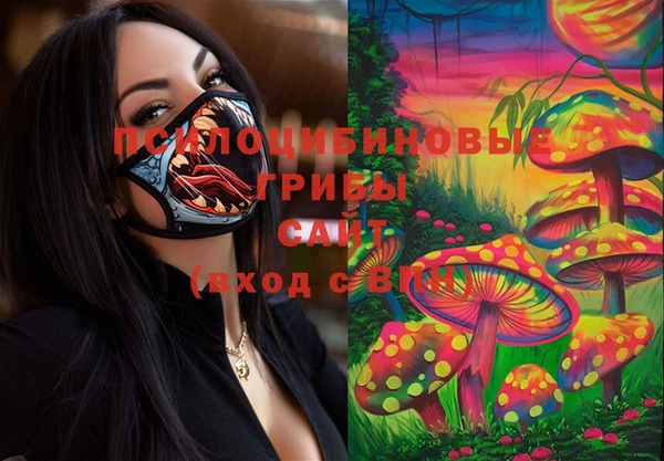МДМА Новозыбков