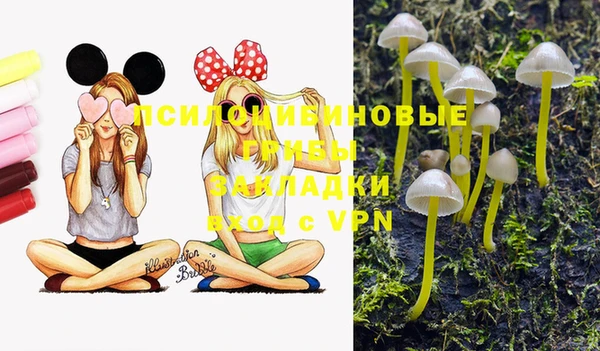 MESCALINE Новокубанск