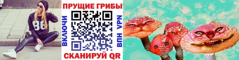 Псилоцибиновые грибы MAGIC MUSHROOMS  закладка  kraken tor  Мосальск 